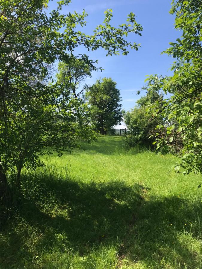 Appartment Ivonete Wettringen  Exteriör bild